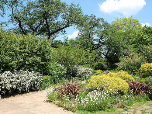 京王フローラルガーデンアンジェ