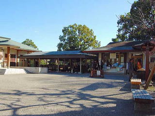 清澄庭園