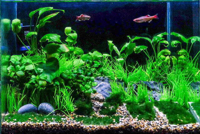 ����ʃ��C�A�E�g�U-3