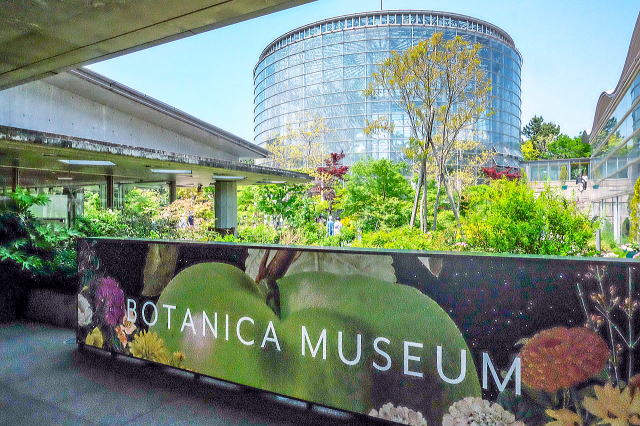 BOTANICA MUSEUM@t