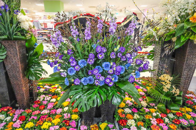 �؉Ԃ̃A�����W�����g