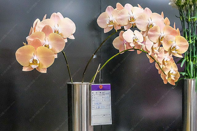 �_�ѐ��Y��b��