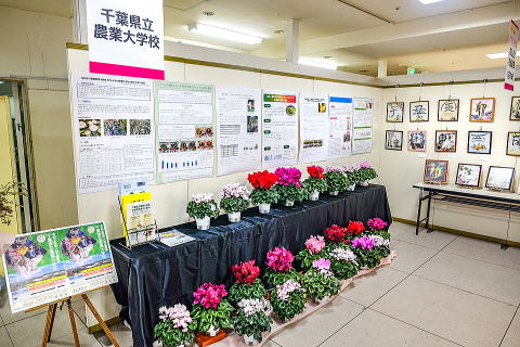 ��t���_�Ƒ�w�Z�̓W��