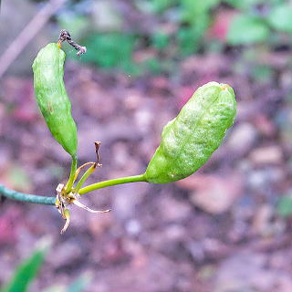 �^�l�������l�q