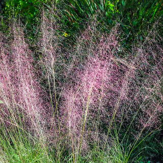 �ӂ��ӂ������ԏ�