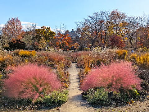 ���V���K�[�f���Y�Ō��������~���[�����x���M�A