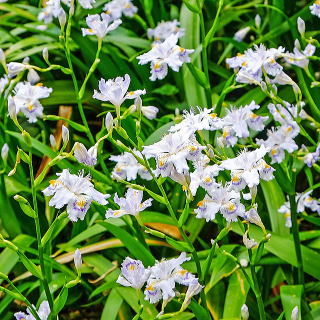 �Ԃ��͗ǂ�