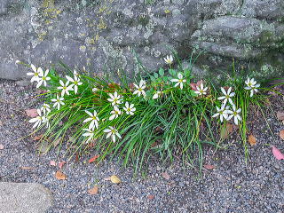 �Αg�݂̍ۂɐA�͂�����