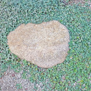 �O�����h�J�o�[�Ƃ��ĐA������