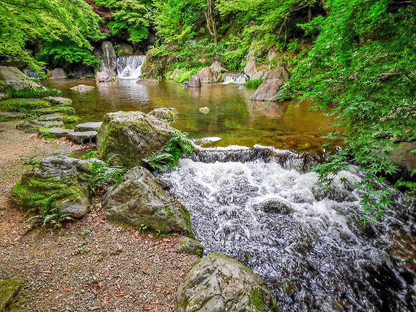 万博記念公園 日本庭園 自然文化園