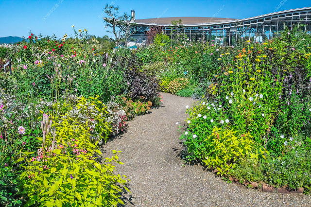 ばらと草花のエリア(秋の花壇)