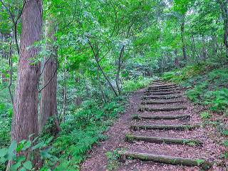 段差のある山道