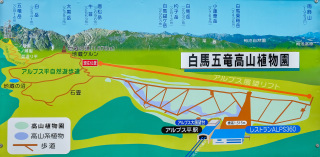 白馬五竜高山植物園マップ