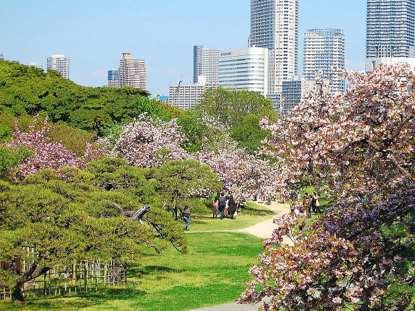 浜離宮恩賜庭園