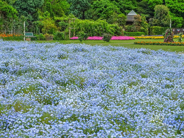 花ファンタジア