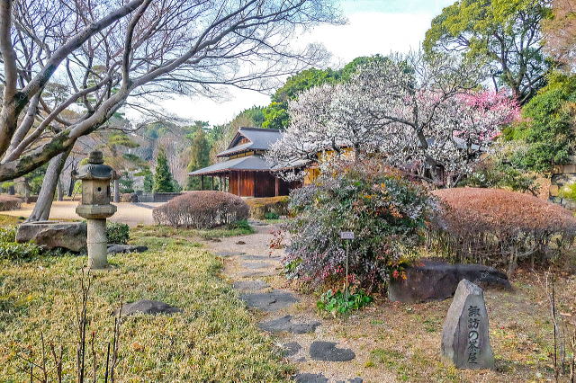 �z�K�̒����i�E���j