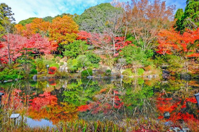 日本庭園（紅葉）
