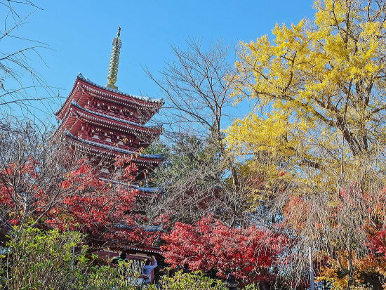 本土寺