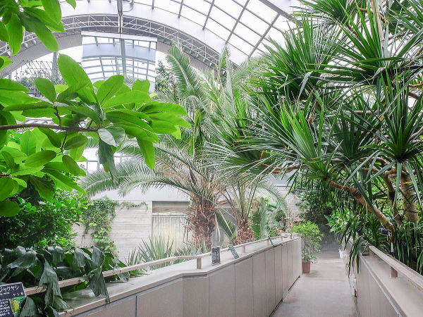 板橋区立熱帯環境植物館 グリーンドームねったいかん
