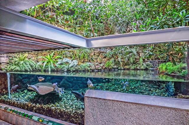 ���̓I�ȓW�����y���߂�