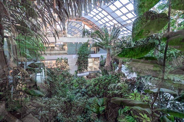 �i�����N���A���猩���i�F