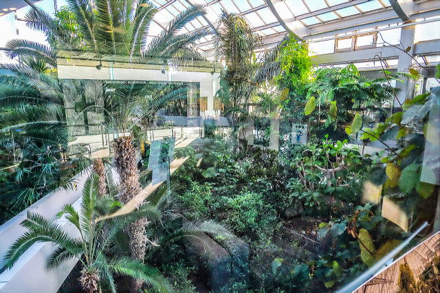 �}���R�[�i�[���猩���낷����