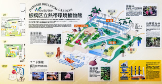 ���旧�M�ъ��A���ك}�b�v