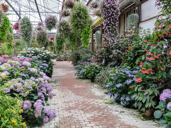 加茂荘花鳥園