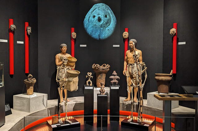 国立歴史民俗博物館　縄文時代の展示