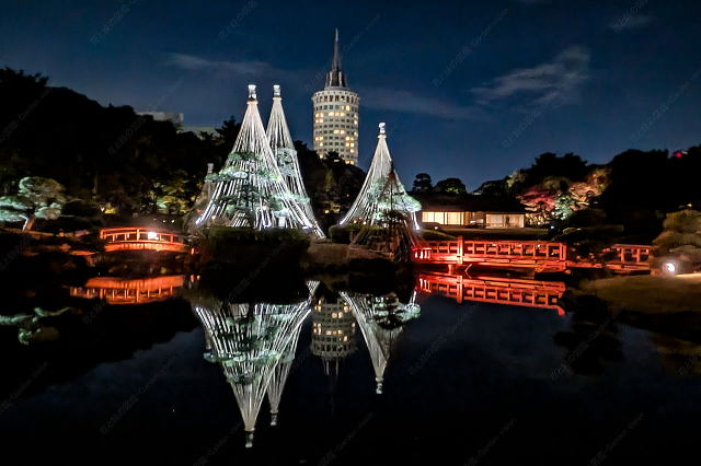 見浜園のライトアップ