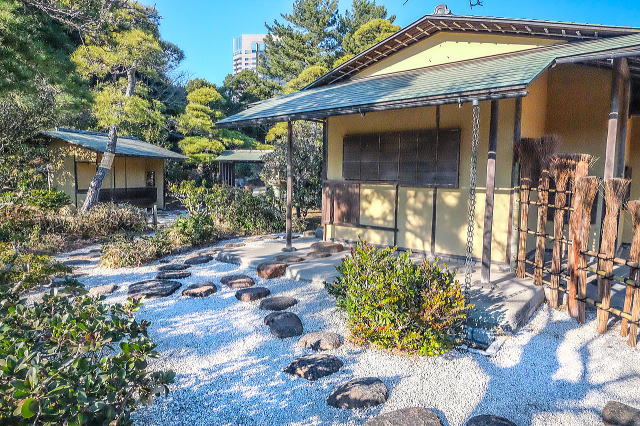 ���ے��̒���