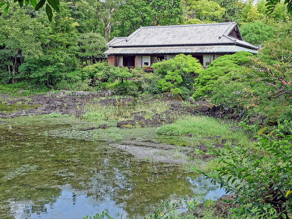 三島周辺 楽寿園 源兵衛川 三島梅花藻の里 隆泉苑 佐野美術館庭園 柿田川公園