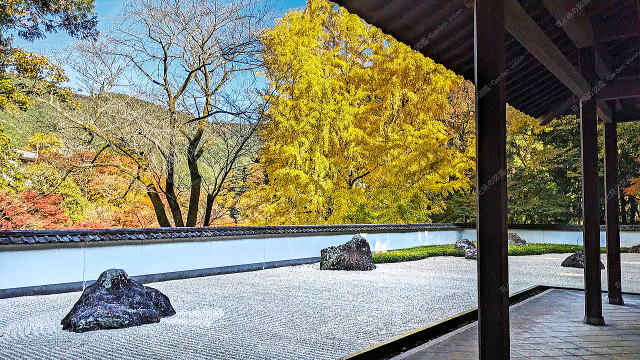 ͎R뉀iC`Ẻtj