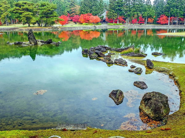 毛越寺