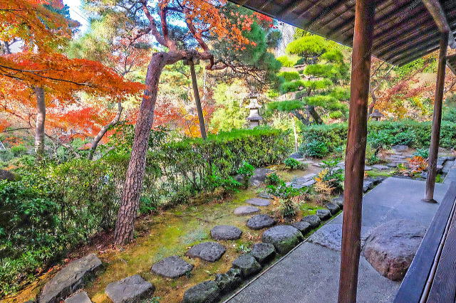 ��эցE�����