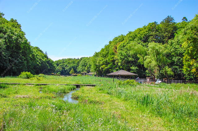 ホタルの里付近