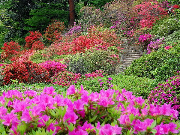 六義園