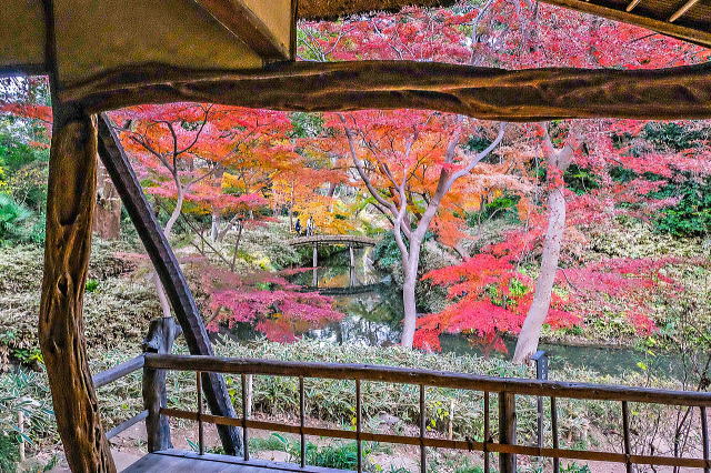 ���������猩��i�F