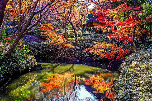 �Z�`���̍g�t