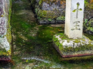 ʂȂ