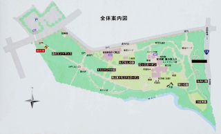 秩父宮記念公園マップ