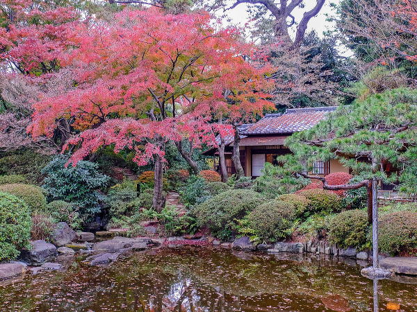 東京都庭園美術館 自然教育園