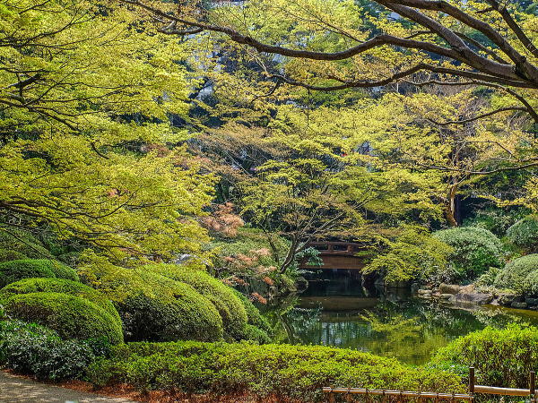 東京都庭園美術館 自然教育園