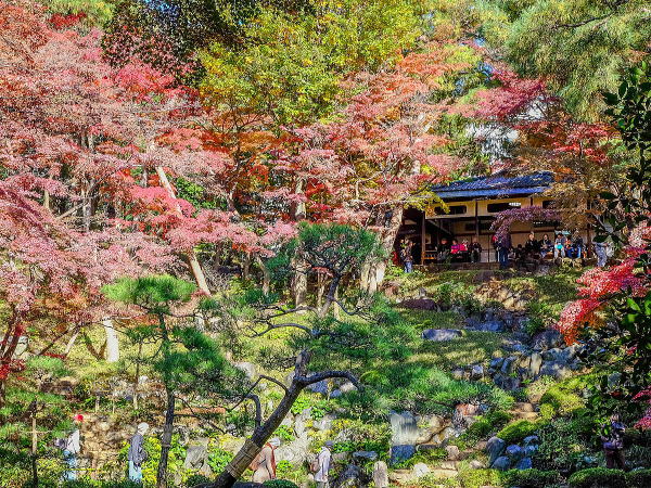 殿ヶ谷戸庭園