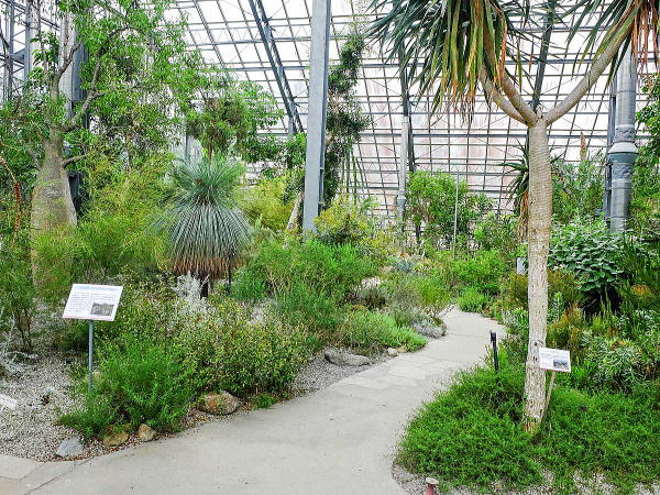 筑波実験植物園