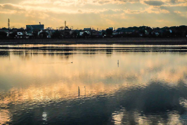 �J�Ê����̗[�i