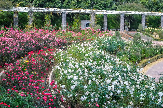 �J�Ão�����̏H�o��